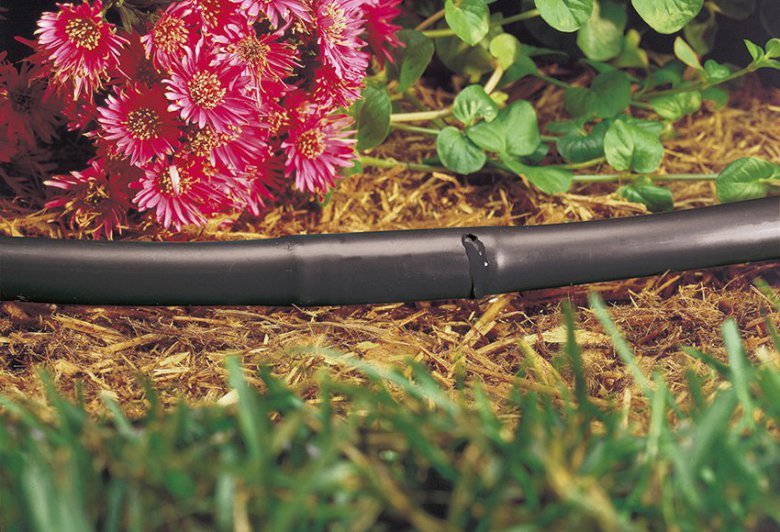 Bevattning droppslang